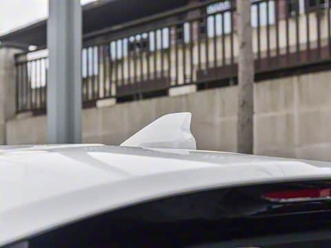 2025�� 290TGDI DCT������ 7��