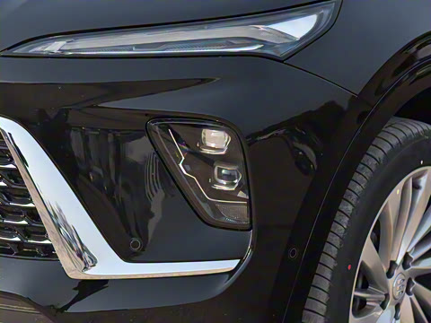 2025�� ������Plus ����Avenir��ά��