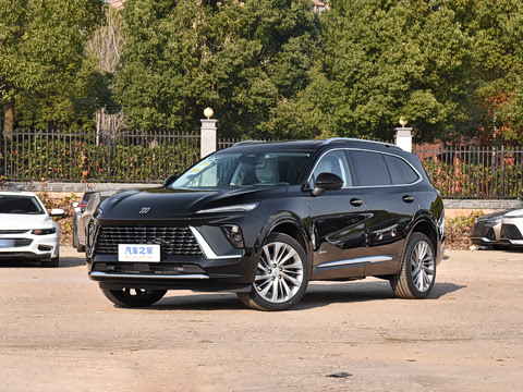 2025�� ������Plus ����Avenir��ά��