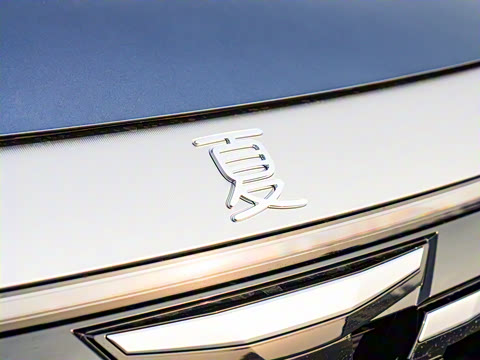 2025�� DM-i 1.5T 100km ��Խ��