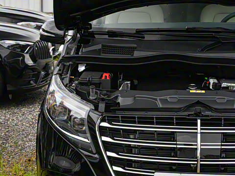 2025�� V 300 L ����������