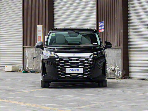 2025�� DM-i 1.5T 180km ��Խ��