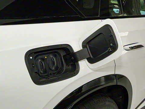 2025�� 605 ��ѡ��