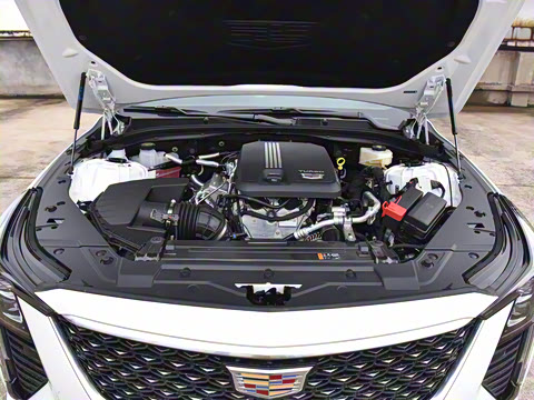 2025�� 28T �����˶���