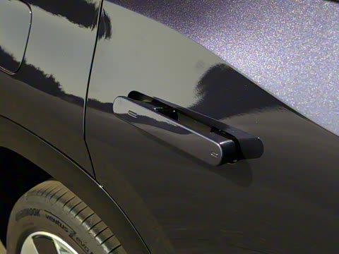 2025�� ;�� Pro 450TSI �����ݺ��