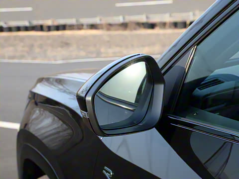 2025�� ;�� Pro 450TSI �����Ƿ��