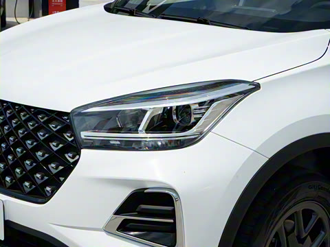 2024�� ����� 1.5L �ֶ�������