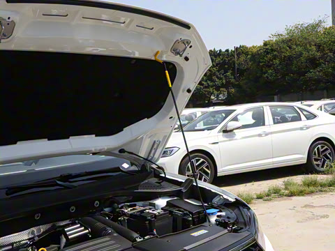 2025�� �Ŀ� 280TSI DSG����ʱ���