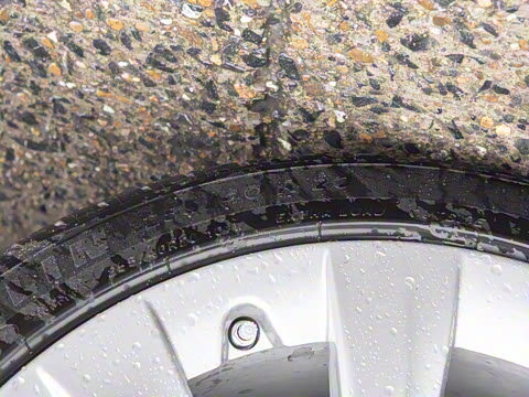 2025�� ����������