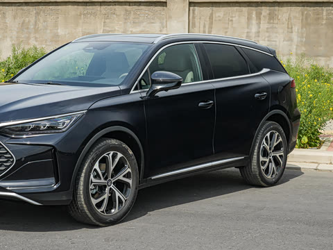 2025�� DM-i 175KM �캽��