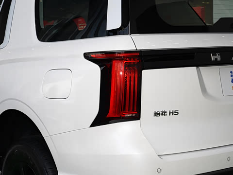 2025�� 2.0T�Զ�������Ӣ�� ����