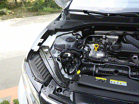 2025�� �Ŀ�� 300TSI DSG��Խ��