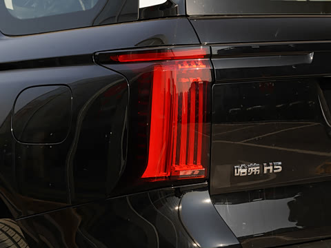 2025�� 2.0T�Զ�������Ӣ�� ����