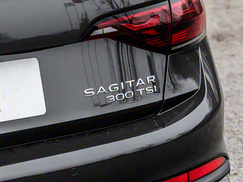 2025�� �Ŀ� 300TSI DSG��Խ��