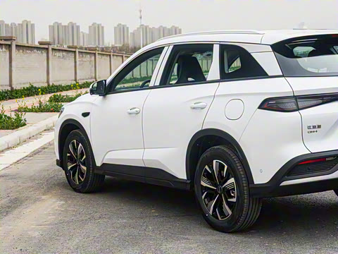 2025�� DM-i �Ǽݰ� 115KM������