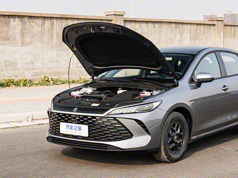 2025�� DM-i �Ǽݰ� 55KM������