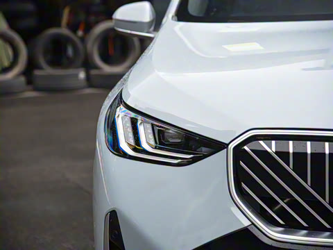 2025�� xDrive30L ������ M�˶���װ