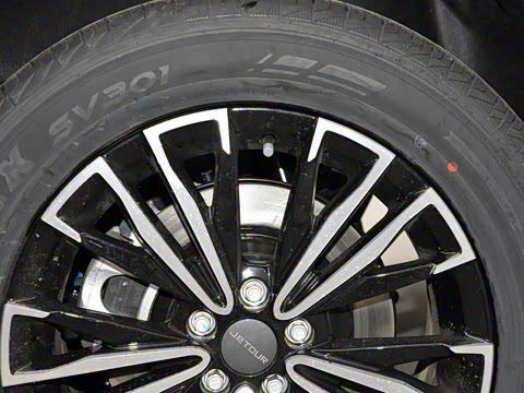 2025�� �ھ��� 1.5T �ֶ��ھ� 5��