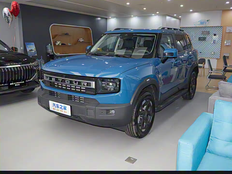 2025�� 2.0TD ��Խ