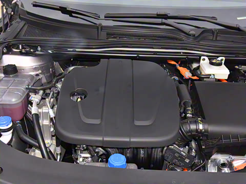 2025�� �������̰� 230�����