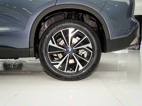 2025�� �ڶ��� �Ǽݰ� DM-i 115KM��Խ��