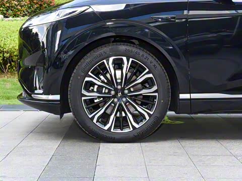 2026�� �������̼�����