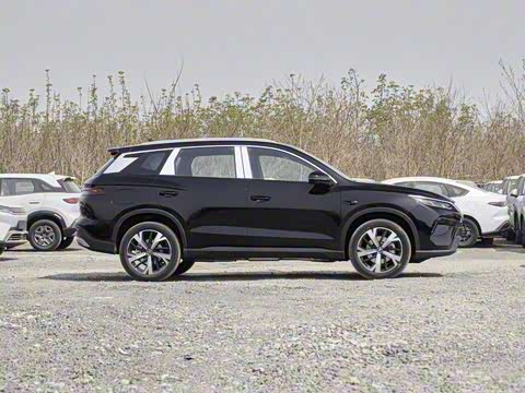 2025�� �ڶ��� �Ǽݰ� DM-i 115KM׿Խ��