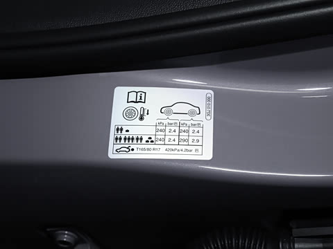 2025�� ;�� Pro 450TSI �����Ƿ��