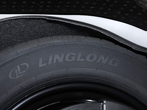 2025�� ;�� Pro 450TSI �����Ƿ��