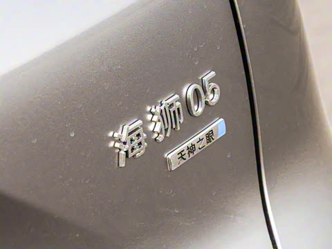 2025�� DM-i �Ǽݰ� 115KM������