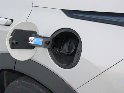 2025�� 150 �캽+��