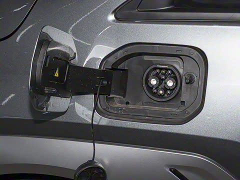 2024�� Younger ��ҫ��