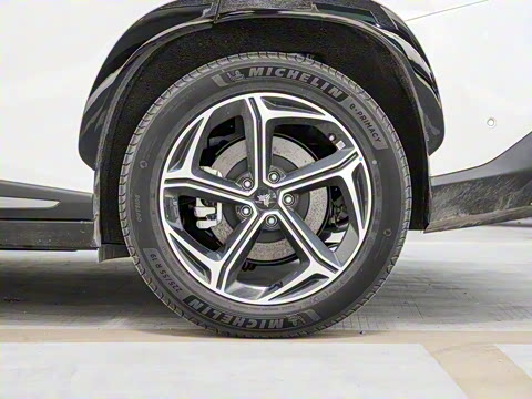 2024�� ���� 220 �����