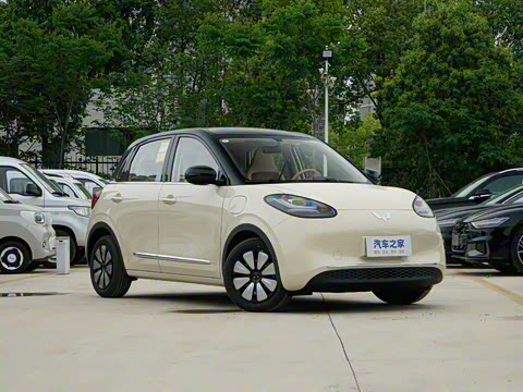 2025�� 333km ������