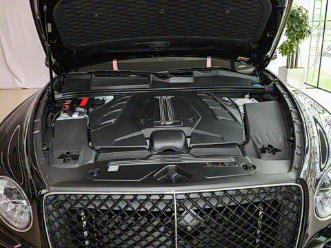 2026�� 4.0T V8 ������