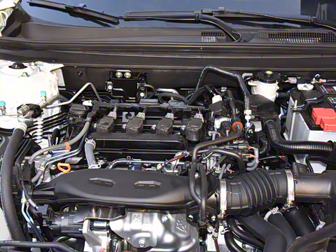 2025�� 260TURBO ��Ӣ��