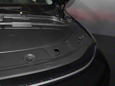 2025�� 725 �������� Max �콢��