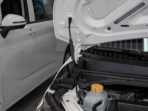 2025�� 365KM ��ҵ�� 7��