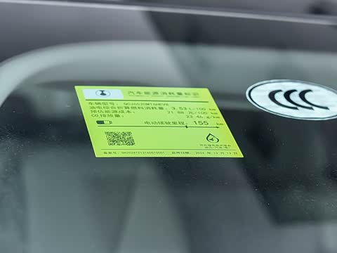 2025�� DM-i �Ǽݰ� 1100 ������