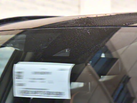 2024�� ˫�� 2.5L E-CVT��������PLUS��