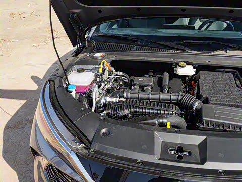 2025�� DM-i �Ǽݰ� 80KM������