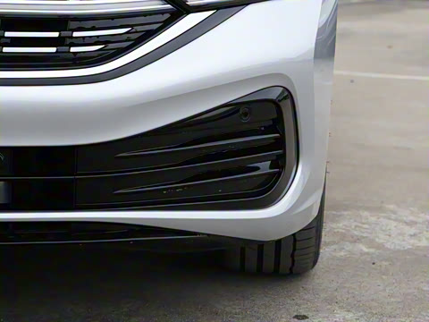 2025�� 300TSI DSG׿Խ��