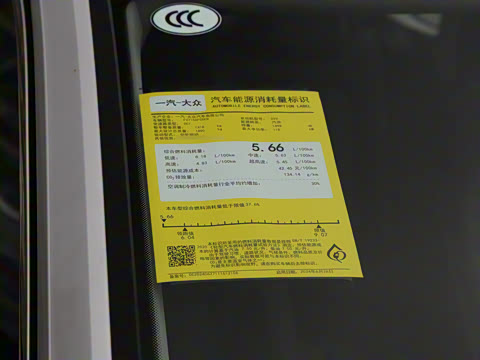 2025�� 300TSI DSG׿Խ��