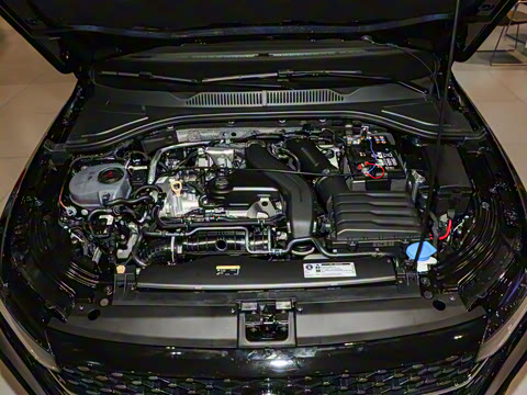 2024�� 300TSI DSG�ǿ����ݰ�