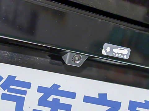 2024�� ͷ����Ұ�