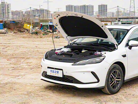 2025�� DM-i �Ǽݰ� 55KM�����