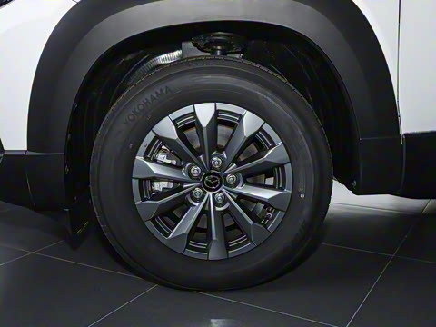 2023�� 2.5L ���а�