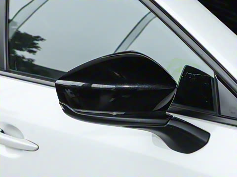 2023�� 2.5L ���а�