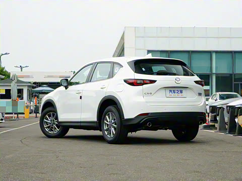 2025�� 2.0L �Զ�����������