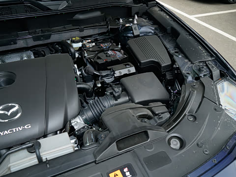 2025�� 2.0L �Զ�����������